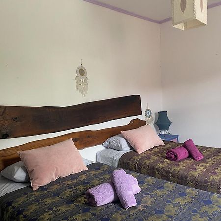 Covas Casa Sanando Bed & Breakfast エクステリア 写真