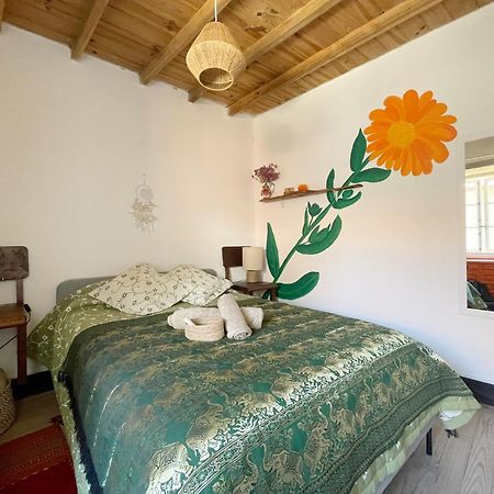 Covas Casa Sanando Bed & Breakfast エクステリア 写真